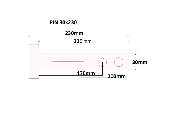 PIN30x230 chart
