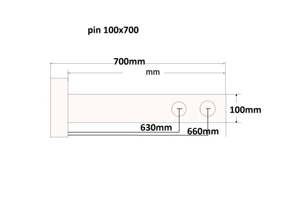 pin 100×700 chart
