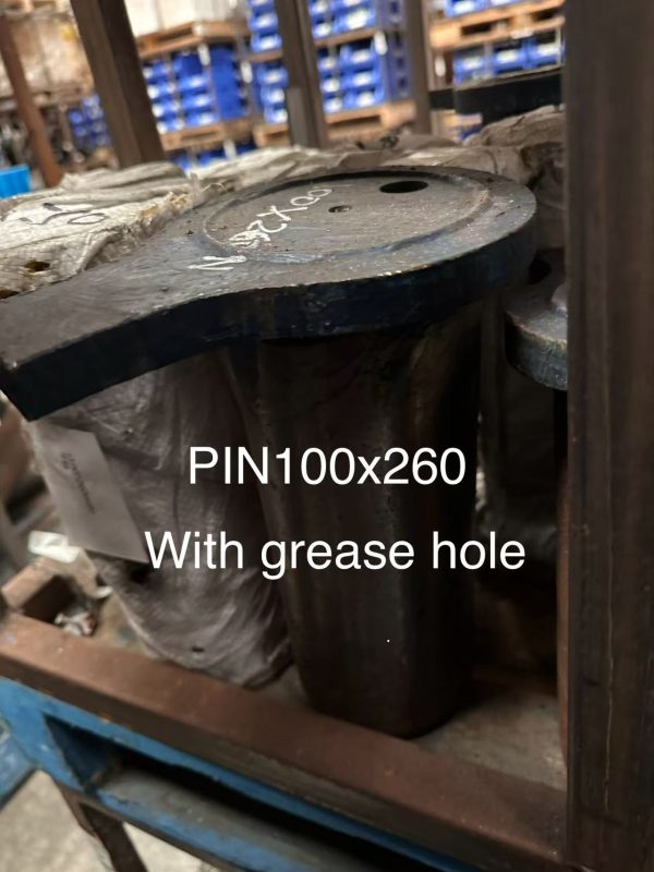 pin100x260N b